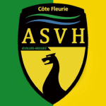 Logo do Villers Houlgate CF de França Villers Houlgate CF logo