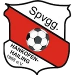 Logo of the Hankofen-Hailing from Germany Hankofen-Hailing logo