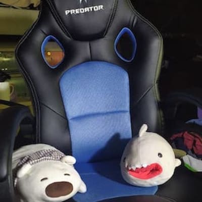 Predator Chair and my stuffed children