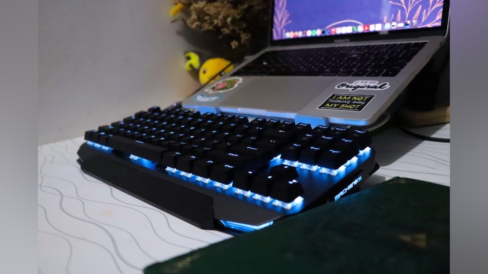 Dev Setup