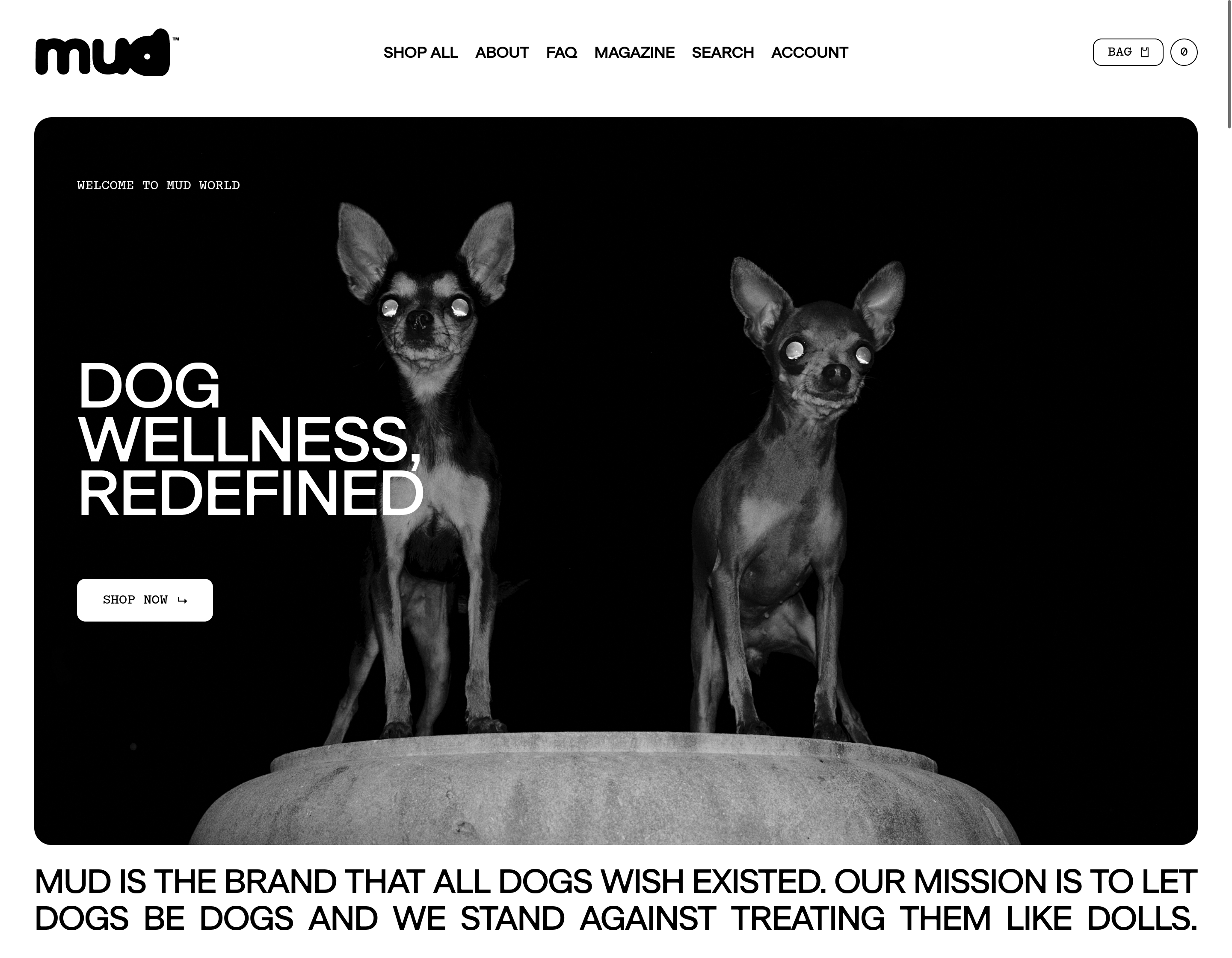 Custom Shopify Hydrogen Storefront