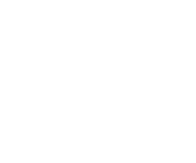 Watties logo