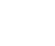 Goodman Fielder logo