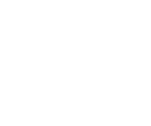 Goodman Fielder logo in white