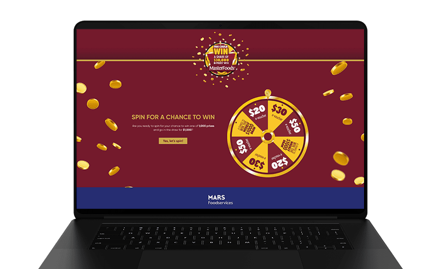 MasterFoods promotion spin page on laptop