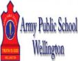 Army Public School Wellington