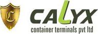 Calyx Container Terminals Private Limited is seeking Corporate Head, Software Developer, Manager