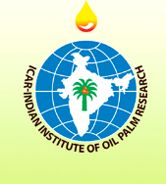 ICAR-IIOPR ICAR-Indian Institute of Oil Palm hiring Young Professional Assistant