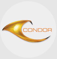 Condor Group Trivandrum Kerala is hiring Senior Project Engineers