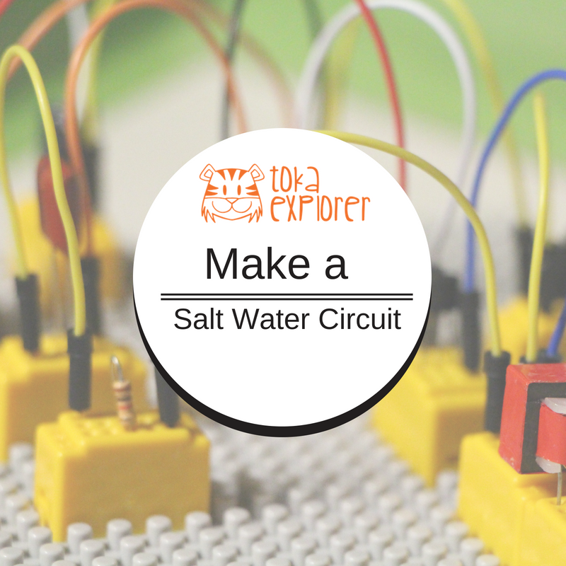 Kids Explore Simple Circuits - Make a Salt Water Circuit