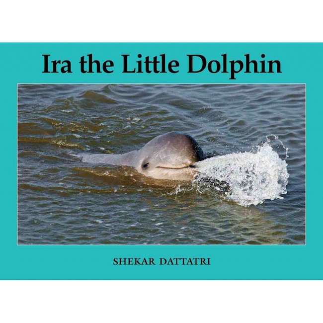 Ira the Little Dolphin