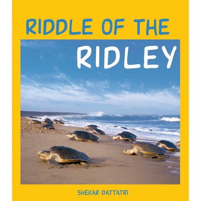 Riddle of the Ridley