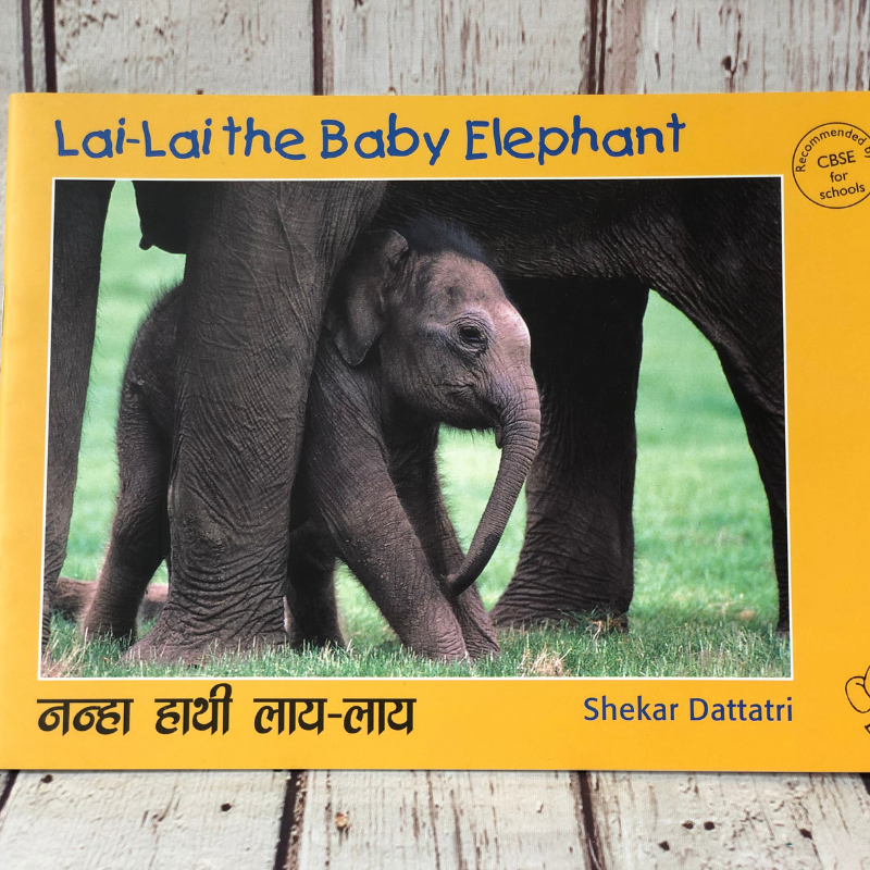 Lai-Lai The Baby Elephant