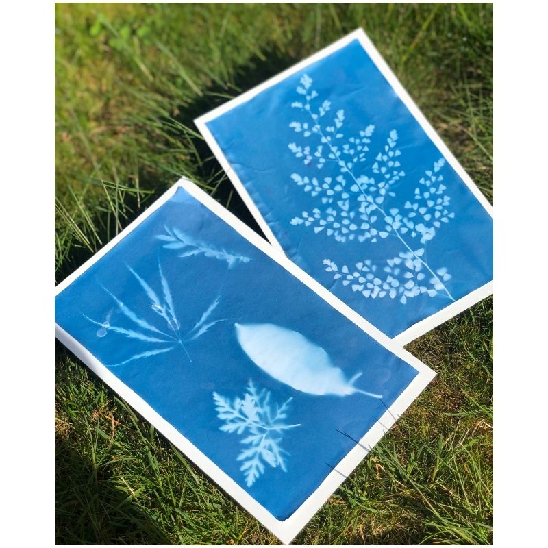 Nature Sun Prints for preschoolers