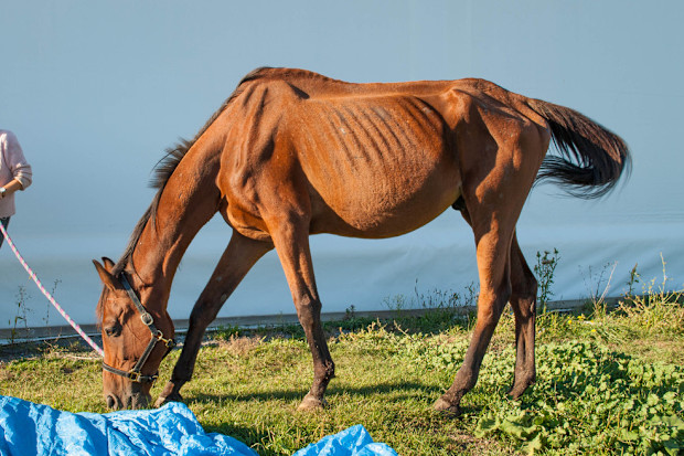 Mngewshz3r1euojpju7k