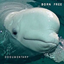 Born Free (Documentary) Enxrnsmlskjkvbx5a6st