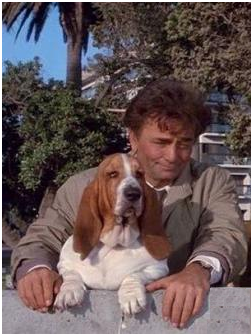 The Plan – “Columbo” tells all