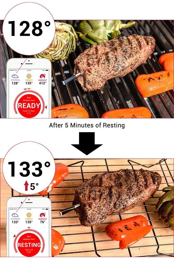 MEATER The Only WireFree Smart Meat Thermometer Indiegogo