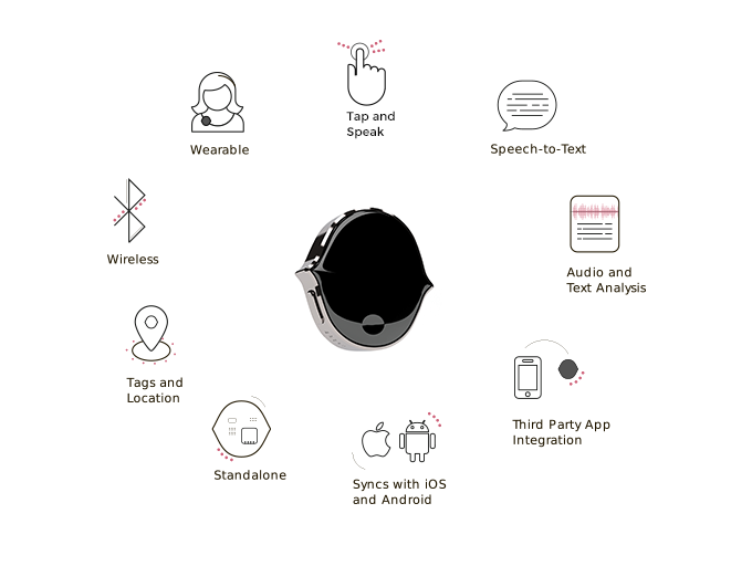 Senstone's overview