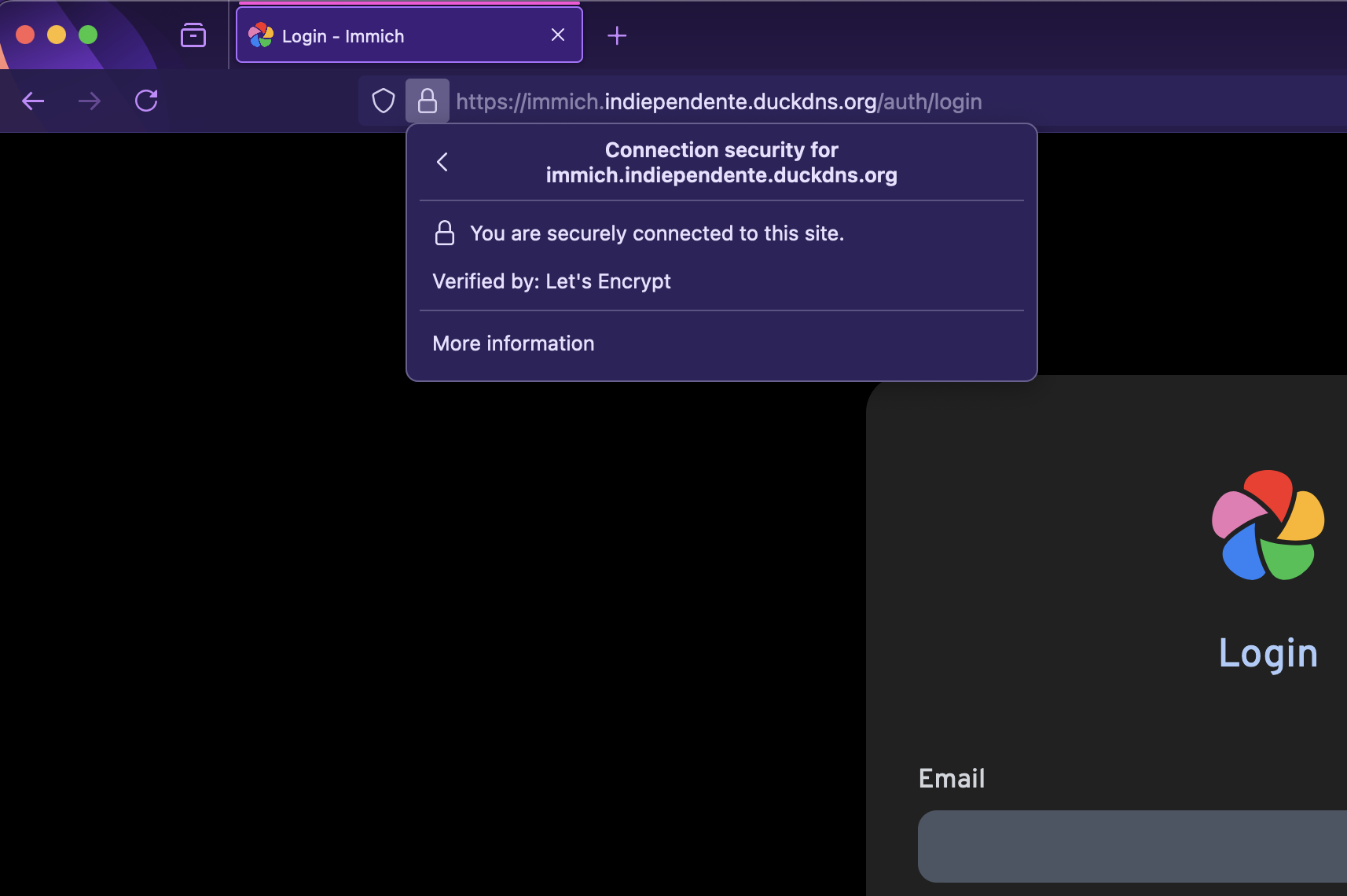 Immich login page