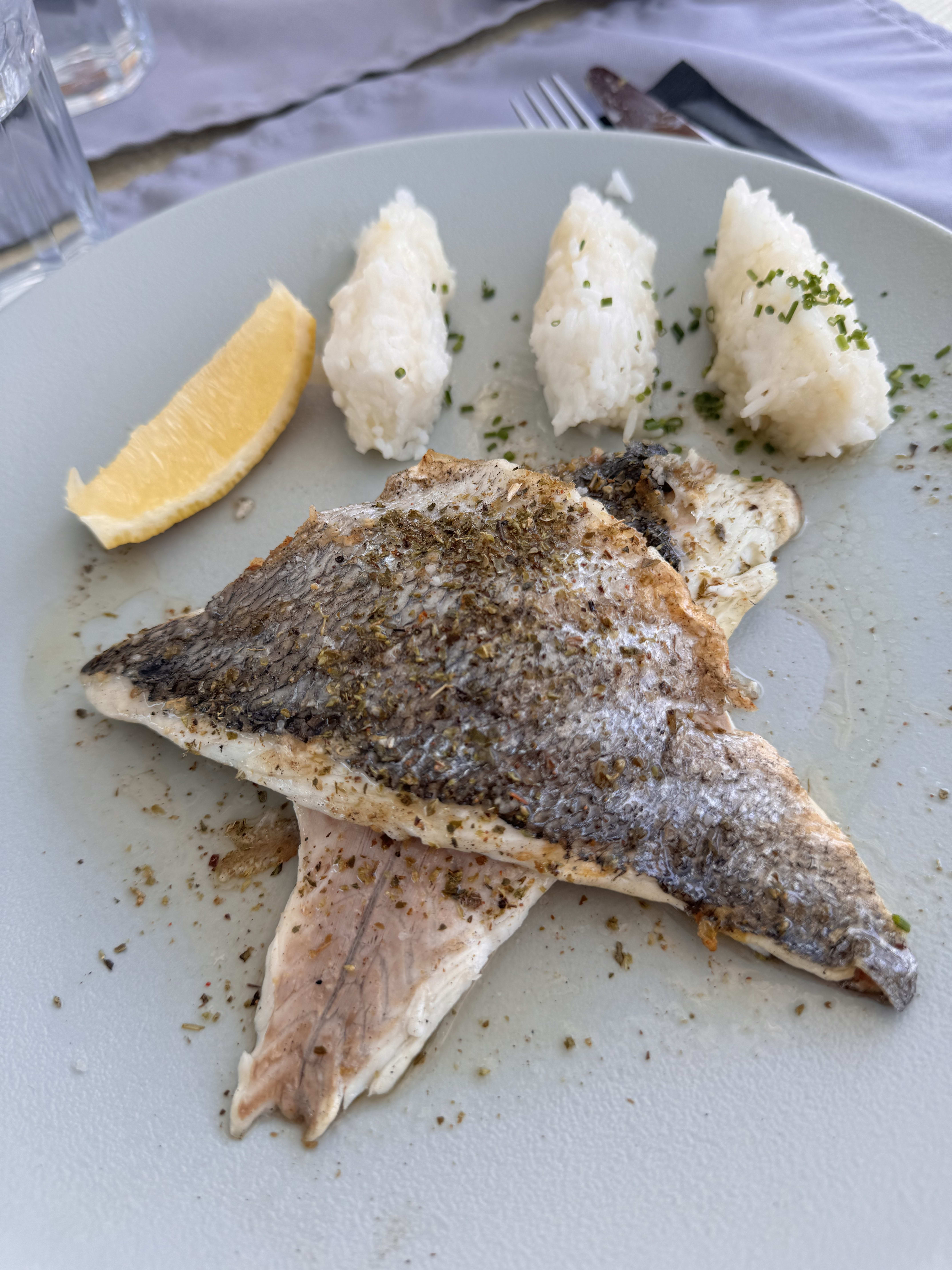Sea bream