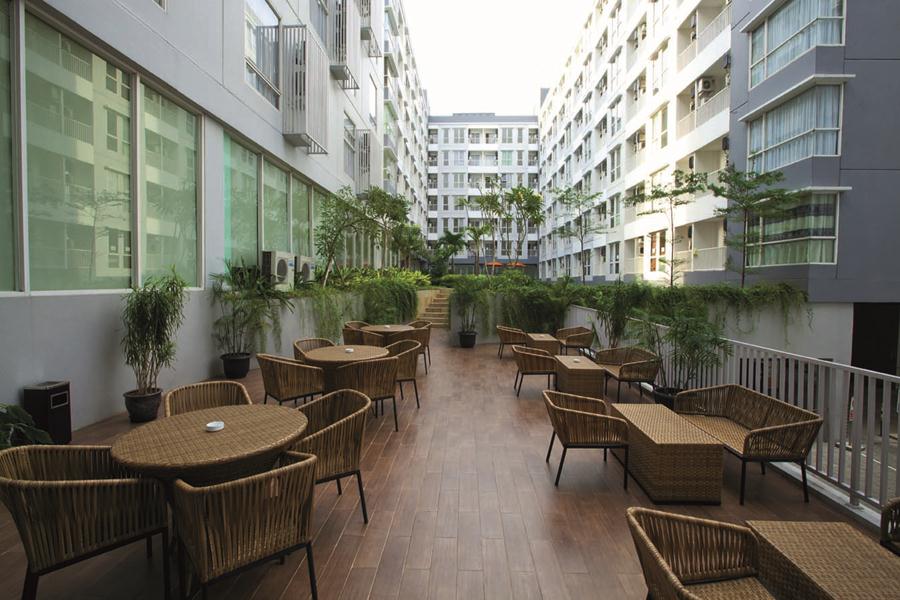 The Devotion to Ultimate Peace