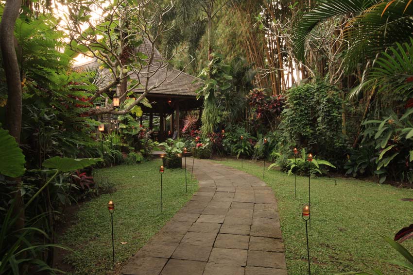 A Taste from Mother’s Kitchen