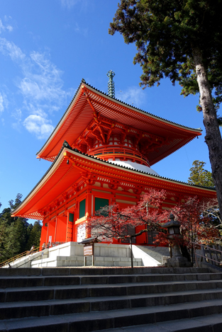 In Search of the Real Japan part 2