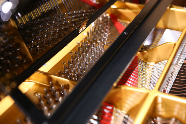 Here is What You Missed in Fazioli Piano Event