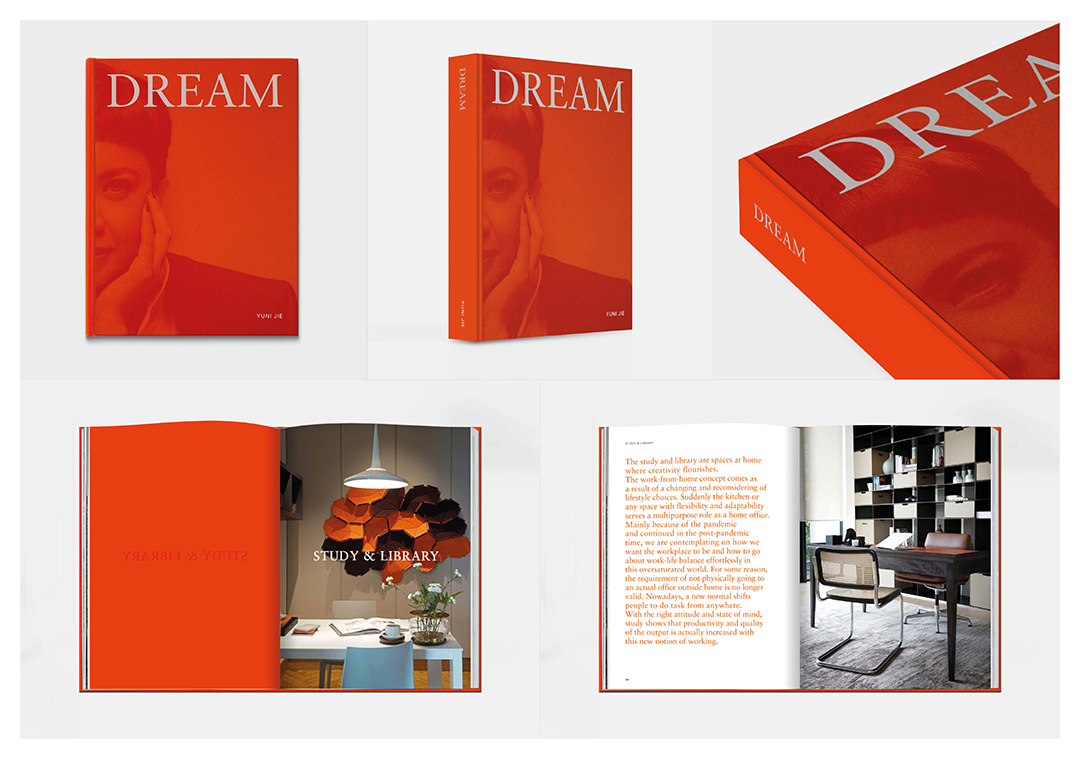 Curating a Decade of Dream