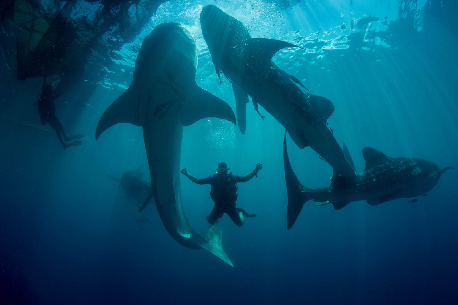 Indonesia Travel Bucket List