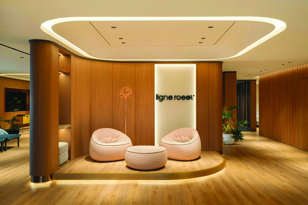 The Timeless Elegance of Ligne Roset