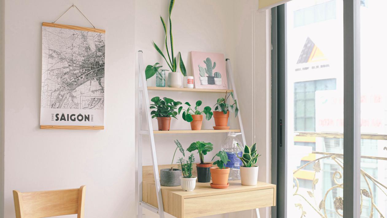 8 Garden Design Ideas For a Relaxing Minimalist Home
