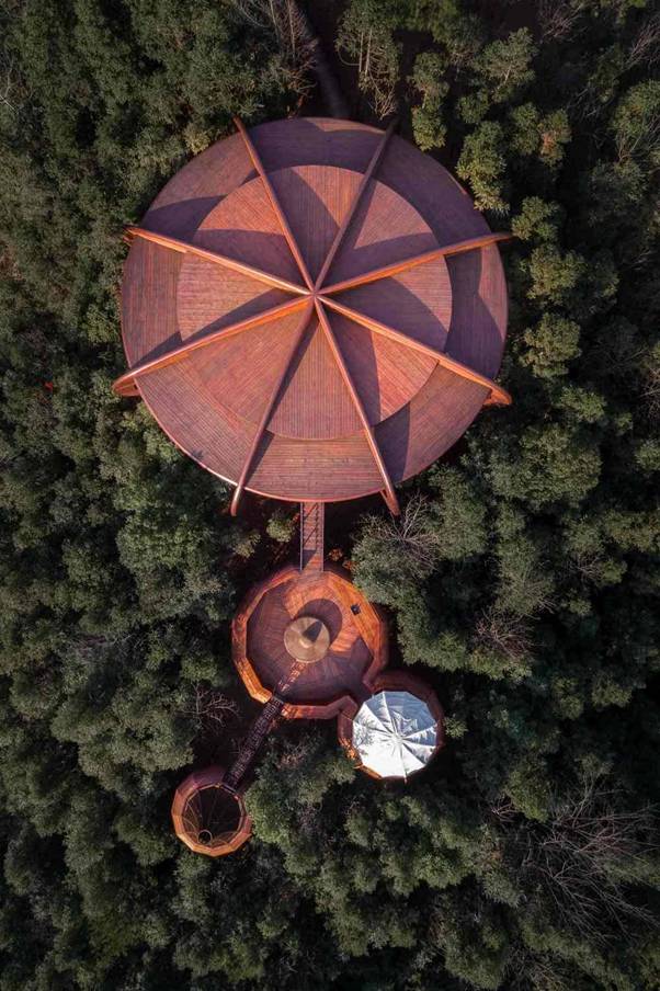 Image source: designboom.com