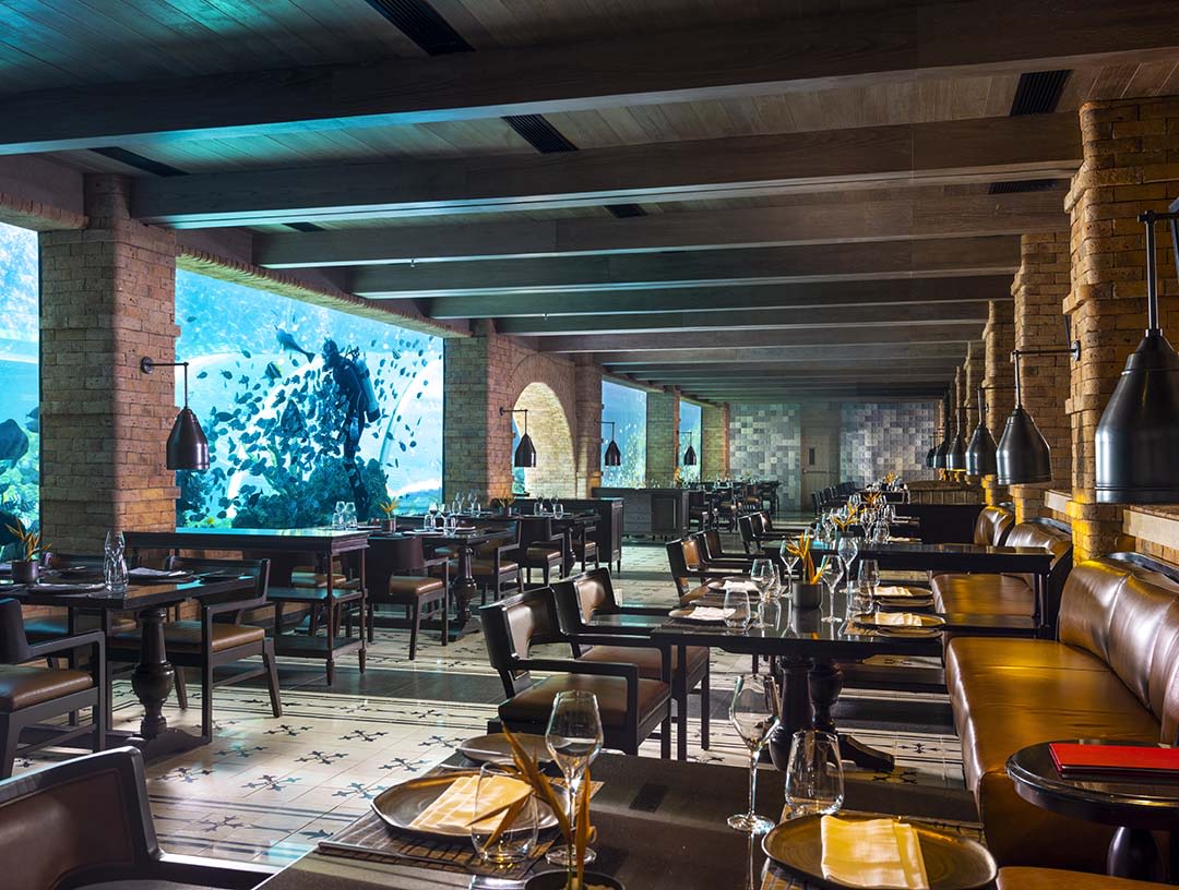 Dining while surrounded by the 80 species of marine life at Koral