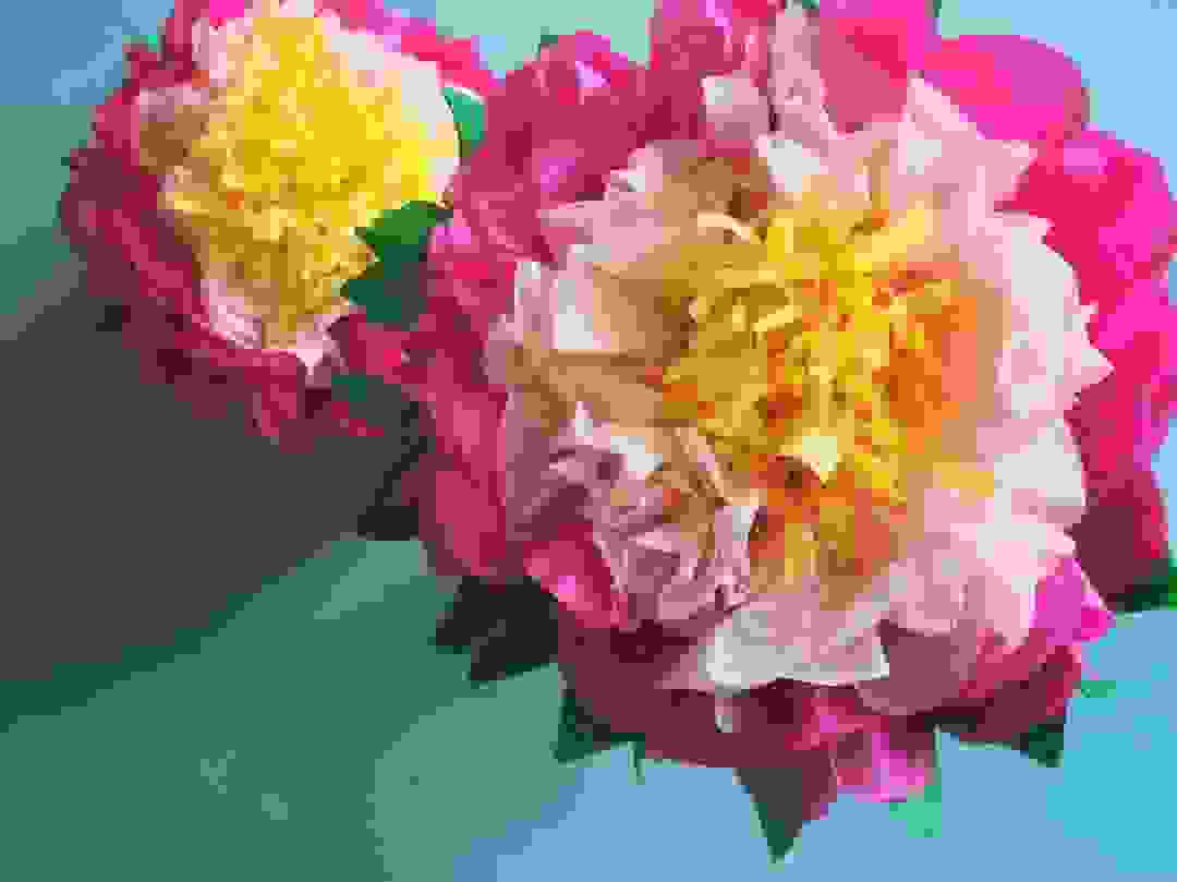 Tissue paper flowers | Source: creativelive.com