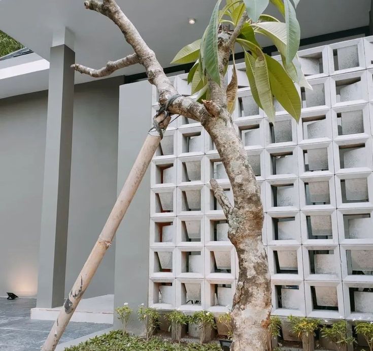 use minimalist brizze block you get good ventilation your house or aritecture look aesthetic on fence