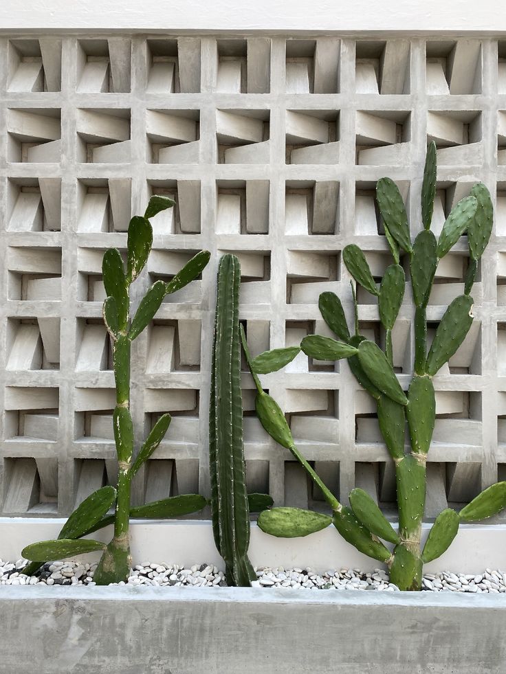 use minimalist brizze block you get good ventilation your house or aritecture look aesthetic on fence