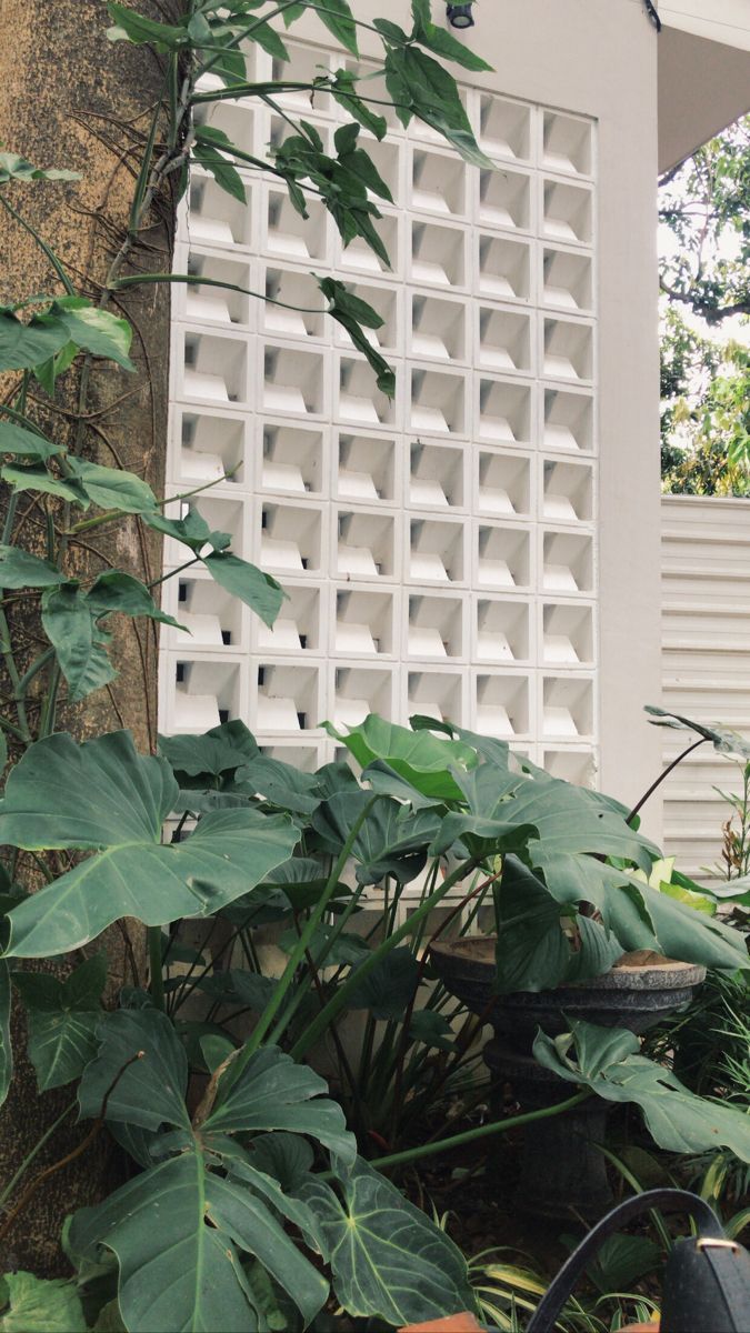 use minimalist brizze block you get good ventilation your house or aritecture look aesthetic on fence