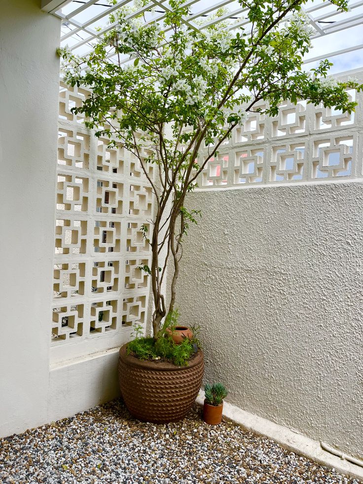 The implementation of minimalist $breeze$ $block$ on the facade of modern house architecture provides optimal ventilation and creates an aesthetically pleasing decorative roster.