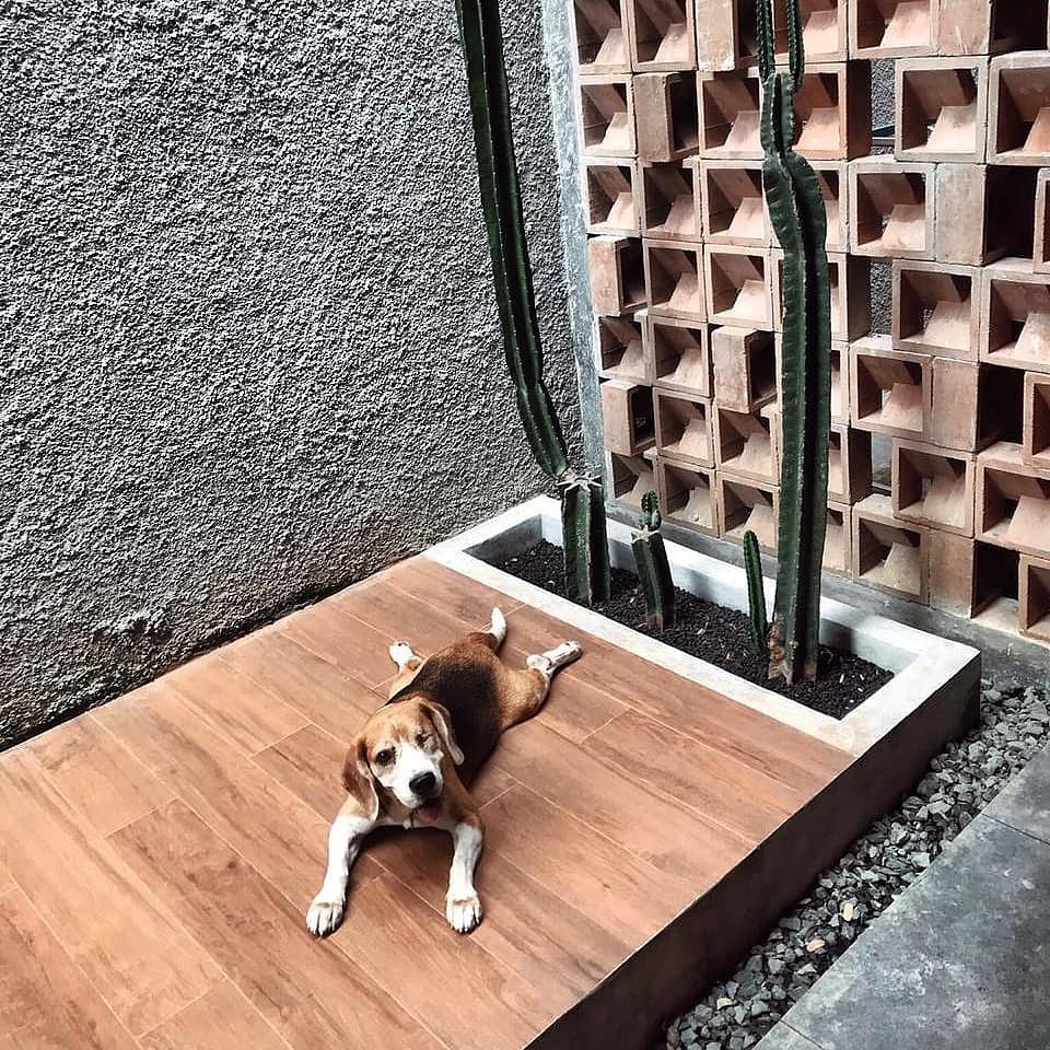 The implementation of minimalist $breeze$ $block$ on the facade of modern house architecture provides optimal ventilation and creates an aesthetically pleasing decorative roster.