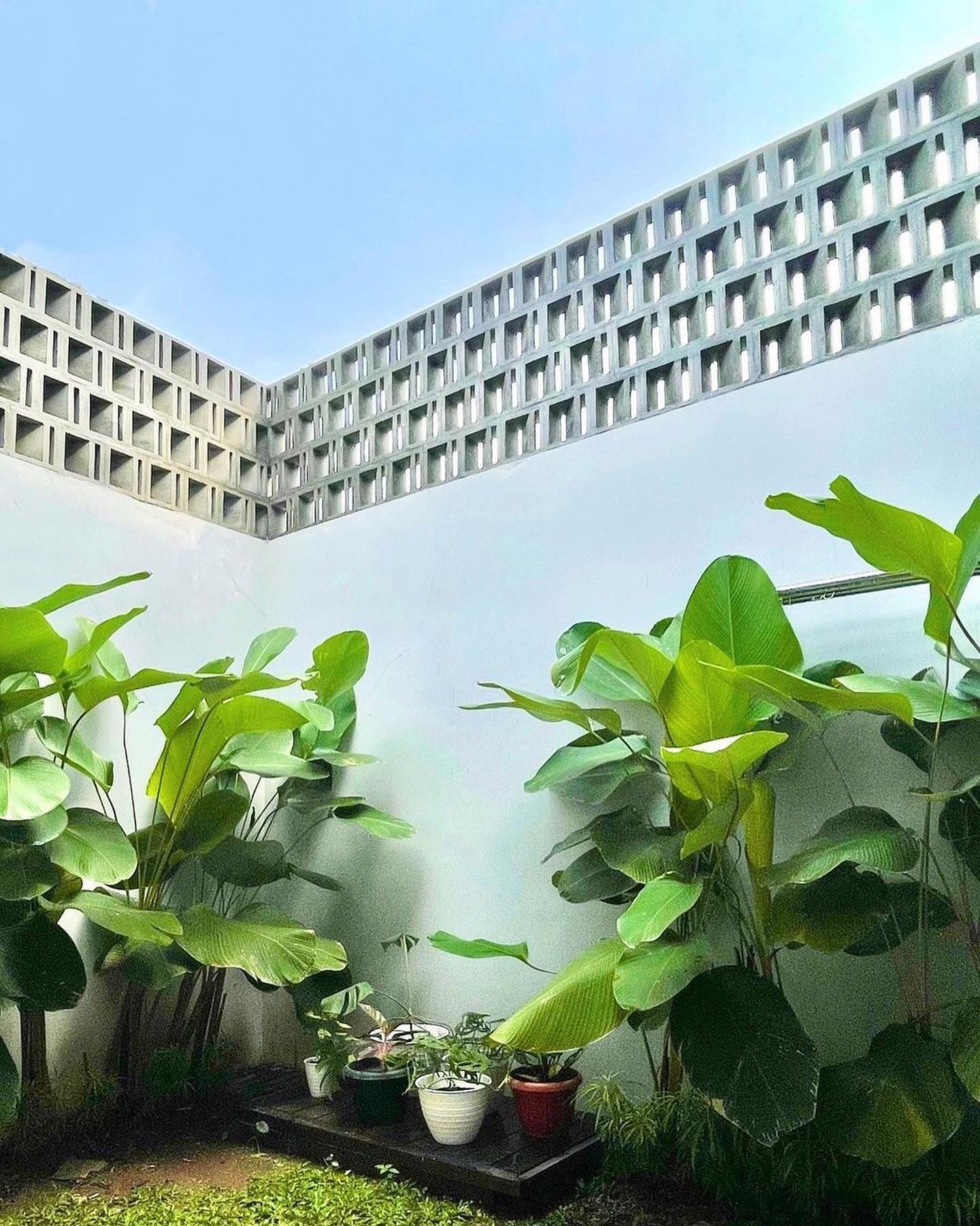 use minimalist brizze block you get good ventilation your house or aritecture look aesthetic on fence