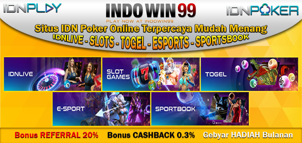 INDOWIN99
