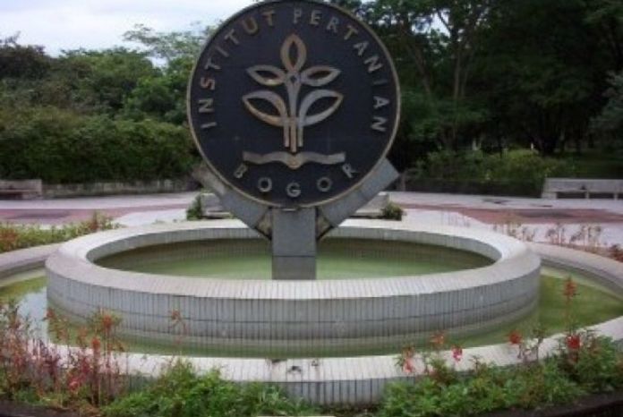 Wawaran IPB Ngeunaan Paturay na Beasiswa Mahasiswi Mualaf Wawaran IPB Ngeunaan Paturay na Beasiswa Mahasiswi Mualaf