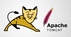 Apache Tomcat Web Server