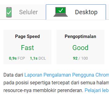 PageSpeed Insights