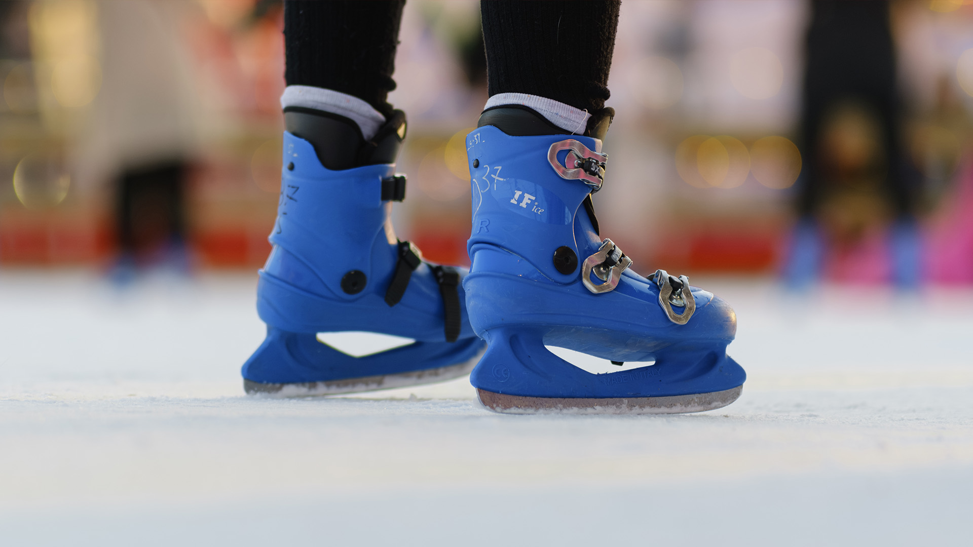 404 | Industrial Frigo Ice | Ice & Snow Rides Manufacturer