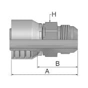 JIC