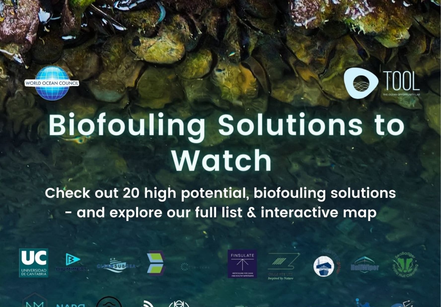 Cover photo for Biofouling Solutions to Watch