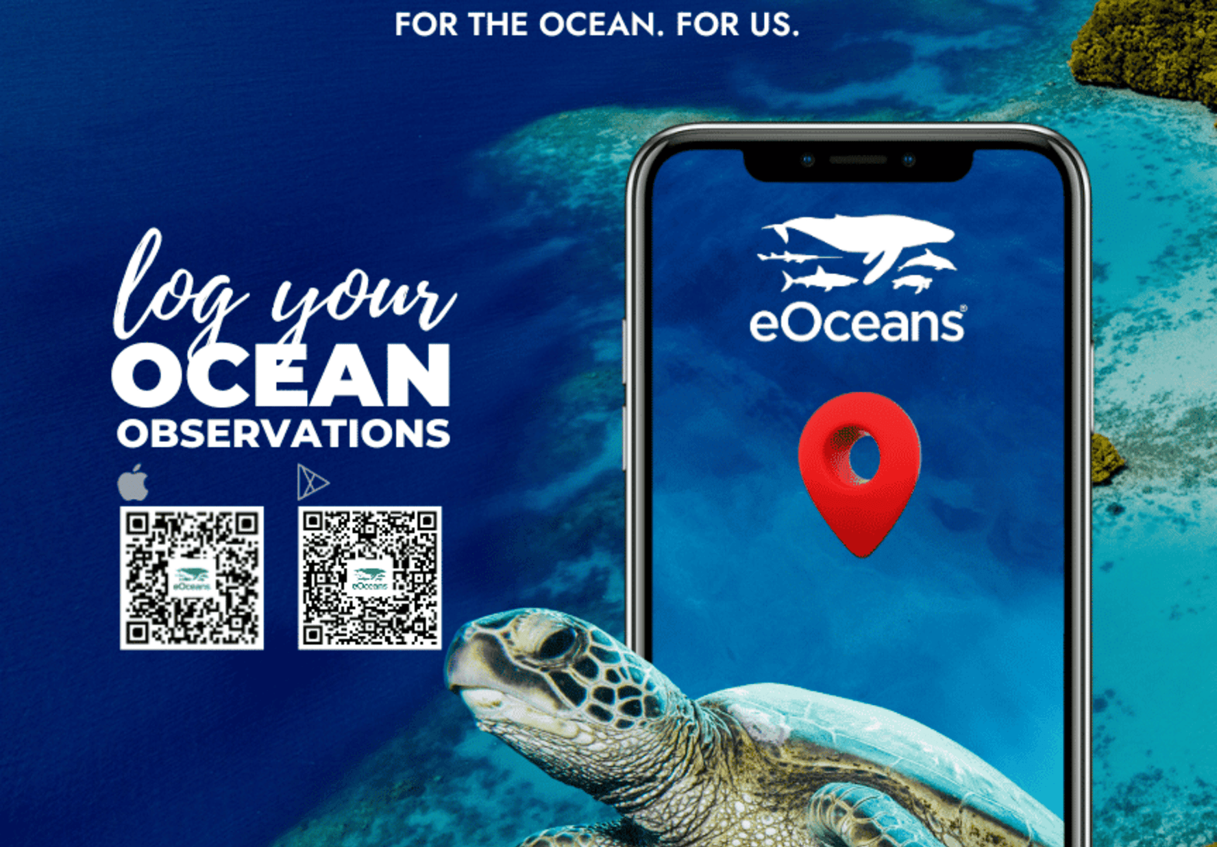 Cover photo for Transforming Ocean Impact: Real-Time Solutions for a Sustainable Blue Future